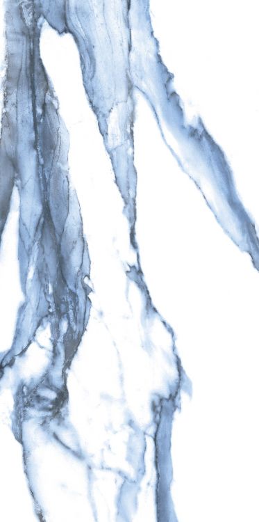 Calacatta Blue Matte 12 x 24